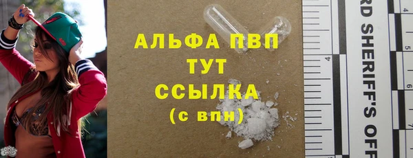прущие грибы Костерёво