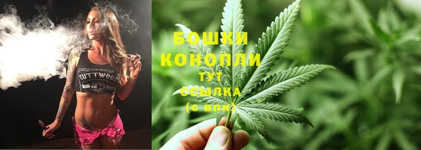 шишки Киров