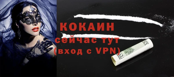 прущие грибы Костерёво