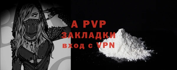 прущие грибы Костерёво