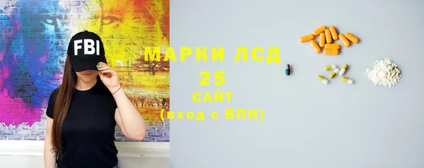 ГАЛЛЮЦИНОГЕННЫЕ ГРИБЫ Корсаков