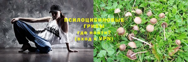 круглые Козельск