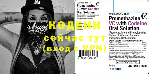 ГАЛЛЮЦИНОГЕННЫЕ ГРИБЫ Корсаков