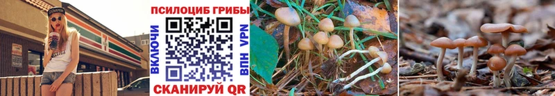 blacksprut зеркало  shop состав  Кукмор  Галлюциногенные грибы Magic Shrooms  где купить  